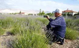 Yeşilburç’ta Lavanta Bahçesiyle Ekonomi ve Turizm Canlanıyor